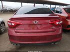 2016 Hyundai Sonata Sport Бордовый vin: 5NPE34AF1GH341038