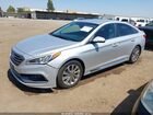 2017 Hyundai Sonata Sport Серебряный vin: 5NPE34AF1HH545808
