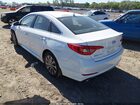 2016 Hyundai Sonata Sport White vin: 5NPE34AF2GH266026