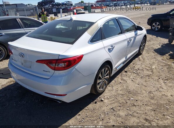 5NPE34AF2GH266026 2016 HYUNDAI SONOTA White Trasero derecho