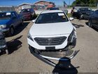 2016 Hyundai Sonata Sport White vin: 5NPE34AF2GH266026