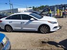 2016 Hyundai Sonata Sport White vin: 5NPE34AF2GH266026