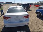 2016 Hyundai Sonata Sport White vin: 5NPE34AF2GH266026