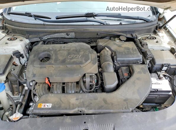 5NPE34AF2GH269086 2016 HYUNDAI SONATA White Widok wnętrza z tyłu