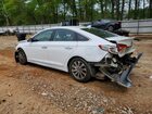 2016 Hyundai Sonata Sport White vin: 5NPE34AF2GH269086