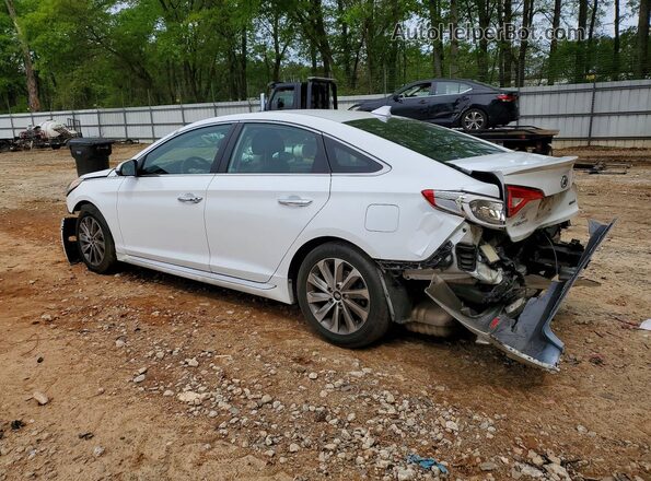 5NPE34AF2GH269086 2016 HYUNDAI SONATA White Tył lewy