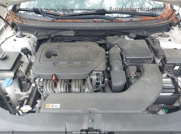 5NPE34AF2GH436109 2016 HYUNDAI SONATA Белый Вид сзади