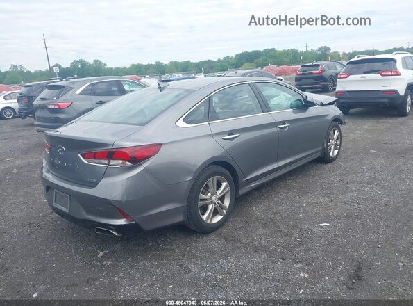 5NPE34AF2KH731445 2019 HYUNDAI SONATA Серый Задняя правая четверть