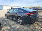 2019 Hyundai Sonata Sport Черный vin: 5NPE34AF2KH761609