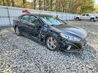 2019 Hyundai Sonata Sport Черный vin: 5NPE34AF2KH761609