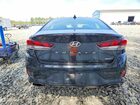 2019 Hyundai Sonata Sport Черный vin: 5NPE34AF2KH761609