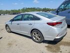 2019 Hyundai Sonata Sel Silver vin: 5NPE34AF2KH816785
