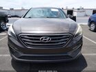 2016 Hyundai Sonata Sport Серый vin: 5NPE34AF4GH261099
