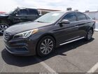 2016 Hyundai Sonata Sport Серый vin: 5NPE34AF4GH261099
