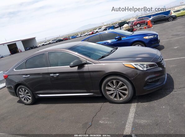 5NPE34AF4GH261099 2016 HYUNDAI SONATA Серый Вид задней части салона