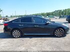 2016 Hyundai Sonata Sport Синий vin: 5NPE34AF4GH363986