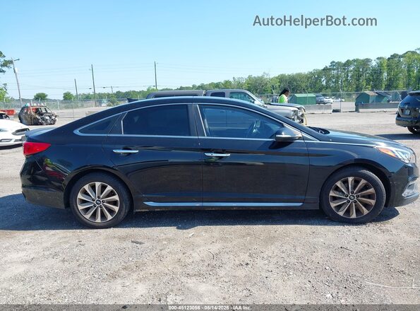 5NPE34AF4GH363986 2016 HYUNDAI SONATA Синий Вид задней части салона
