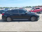 2016 Hyundai Sonata Sport Черный vin: 5NPE34AF4GH427802 2016 Hyundai Sonata Sport Черный vin: 5NPE34AF4GH427802