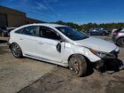 2017 Hyundai Sonata Sport Белый vin: 5NPE34AF4HH515007