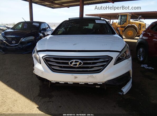 5NPE34AF5GH424875 2016 HYUNDAI SONATA White Widok wnętrza z tyłu