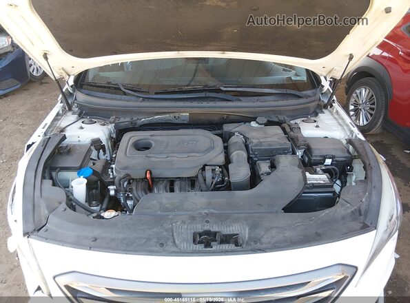 5NPE34AF5GH424875 2016 HYUNDAI SONATA White Widok z tyłu