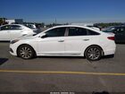 2017 Hyundai Sonata Sport White vin: 5NPE34AF5HH441452