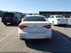 2017 Hyundai Sonata Sport White vin: 5NPE34AF5HH441452