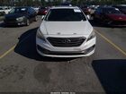 2017 Hyundai Sonata Sport White vin: 5NPE34AF5HH441452