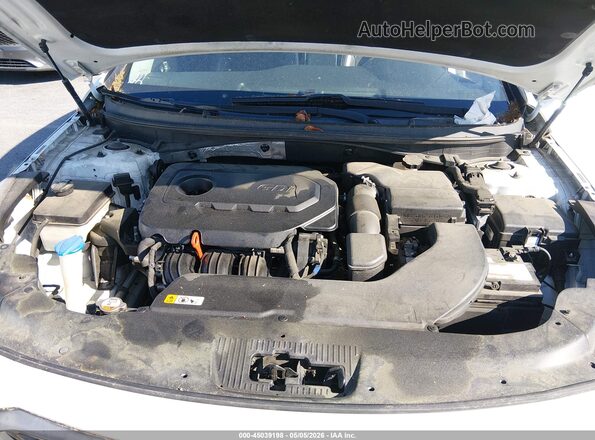 5NPE34AF5HH441452 2017 HYUNDAI SONATA White Widok z tyłu