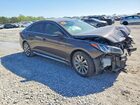 2017 Hyundai Sonata Sport Brown vin: 5NPE34AF5HH451348 2017 Hyundai Sonata Sport Brown vin: 5NPE34AF5HH451348