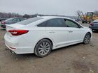 2017 Hyundai Sonata Sport Белый vin: 5NPE34AF5HH487735