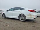 2017 Hyundai Sonata Sport Белый vin: 5NPE34AF5HH487735