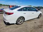 2019 Hyundai Sonata Sel Белый vin: 5NPE34AF5KH748143