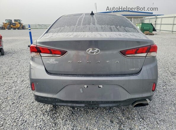 5NPE34AF5KH779800 2019 HYUNDAI SONATA Серый Вид сзади