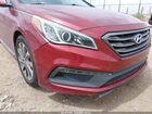 2016 Hyundai Sonata Sport Burgundy vin: 5NPE34AF6GH352634