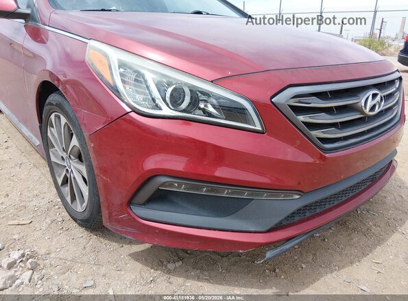 5NPE34AF6GH352634 2016 HYUNDAI SONATA Burgundy 