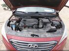 2016 Hyundai Sonata Sport Burgundy vin: 5NPE34AF6GH352634