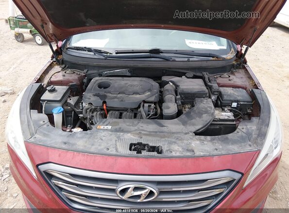 5NPE34AF6GH352634 2016 HYUNDAI SONATA Burgundy Widok z tyłu