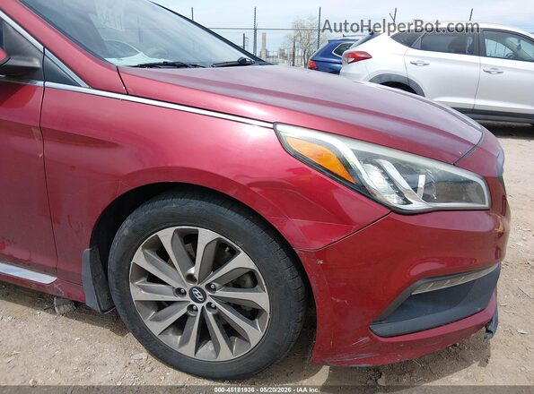 5NPE34AF6GH352634 2016 HYUNDAI SONATA Burgundy 
