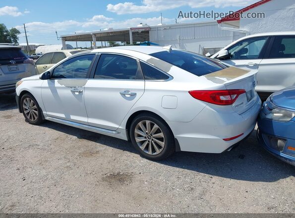 5NPE34AF8HH490273 2017 HYUNDAI SONATA Белый Задняя левая четверть