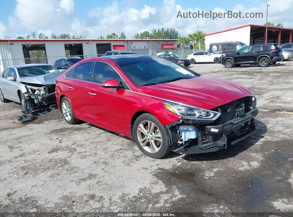 5NPE34AF8KH802292 2019 HYUNDAI SONATA Красный Передняя правая четверть
