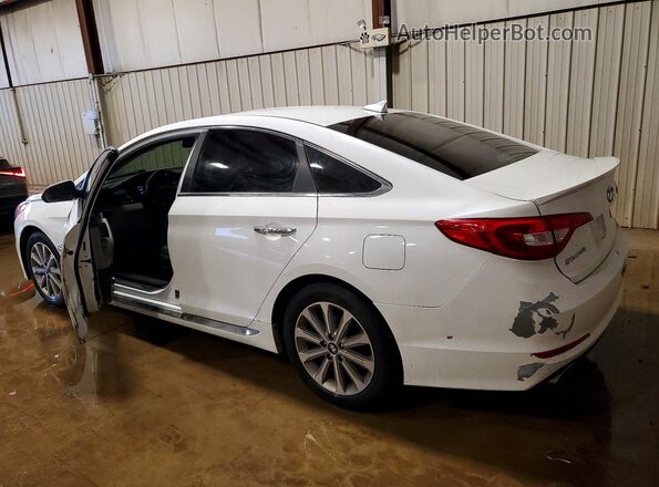 5NPE34AF9HH484854 2017 HYUNDAI SONATA Белый Задняя левая четверть