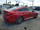 2017 Hyundai Sonata Sport Бордовый vin: 5NPE34AF9HH493943