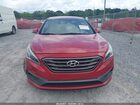 2017 Hyundai Sonata Sport Red vin: 5NPE34AF9HH546236