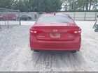 2017 Hyundai Sonata Sport Red vin: 5NPE34AF9HH546236