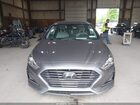 2018 Hyundai Sonata Sel Серый vin: 5NPE34AF9JH686051