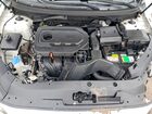 2019 Hyundai Sonata White vin: 5NPE34AF9KH770131
