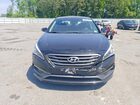 2016 Hyundai Sonata Limited Black vin: 5NPE34AFXGH300990