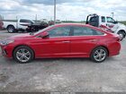 2019 Hyundai Sonata Sel Красный vin: 5NPE34AFXKH755735