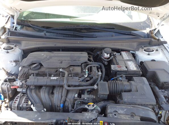 5NPLL4AG0MH036609 2021 HYUNDAI ELANTRA Белый Вид сзади